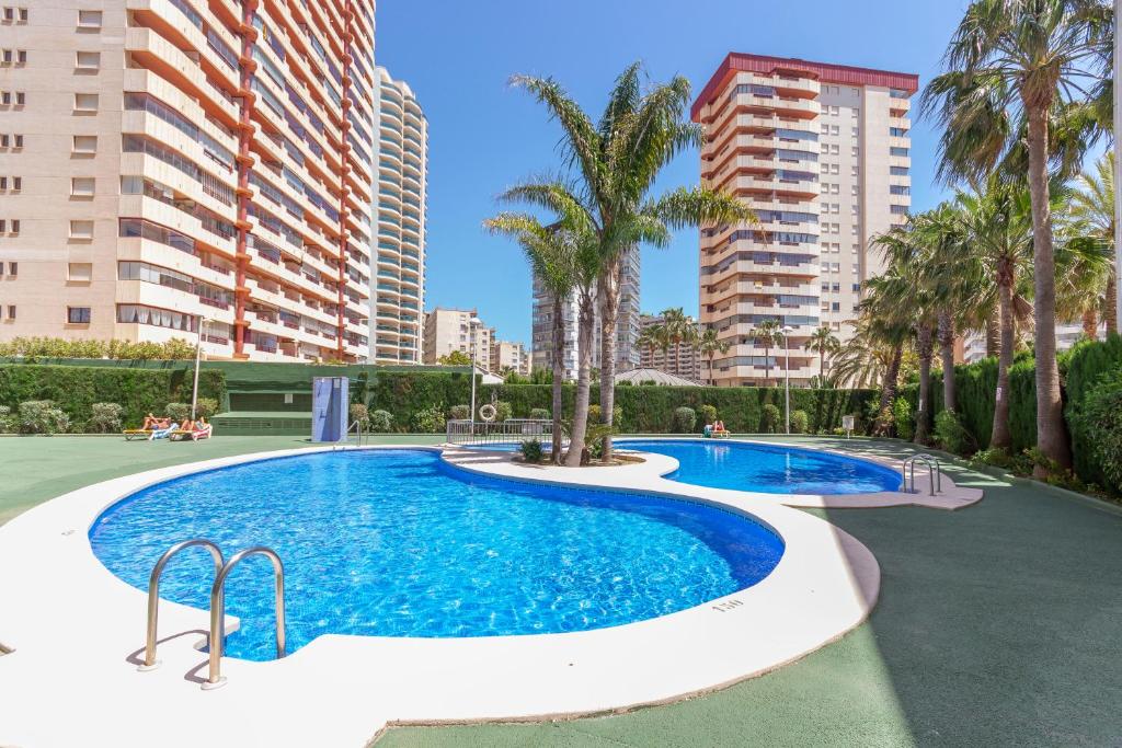 Pool and gardens